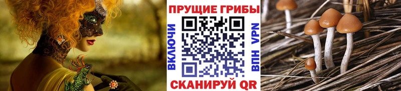 Галлюциногенные грибы ЛСД  Коркино 