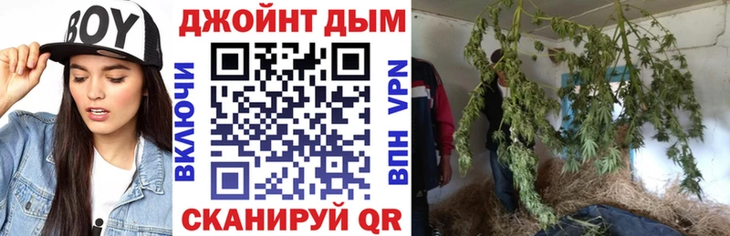 Бошки марихуана VHQ  как найти наркотики  Коркино 